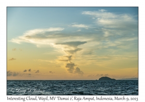 Clouds