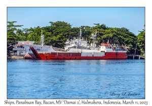 LV 'Varya Banari' & MV 'Mitmamas 8'