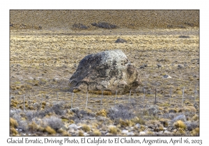 Glacial Erratic