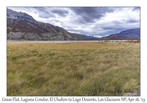 Grass Flat