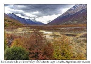 Rio Canadon de los Toros Valley