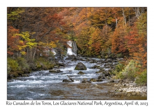 Rio Canadon de los Toros