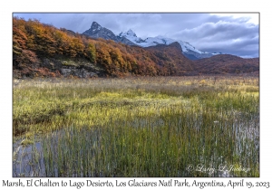 2023-04-19#7800 Marsh, El Chalten to Lago Desierto, Los Glaciares NP, Argentina