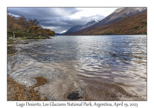 2023-04-19#7826 Lago Desierto, Los Glaciares NP, Argentina