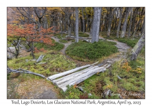 2023-04-19#7829 Trail, Lago Desierto, Los Glaciares NP, Argentina