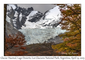 Glaciar Huemul