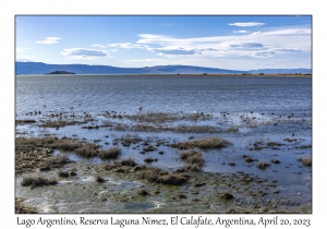 Lago Argentino