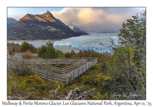 Perito Moreno Glacier