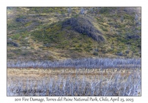 2011 Fire Damage