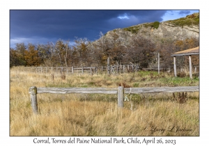 Corral