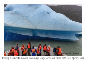 Iceberg & Tourists