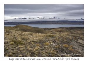 Lago Sarmiento