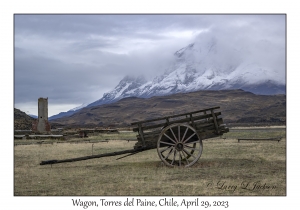 Wagon