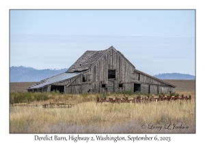 Derelict Barn