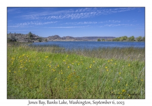 Jones Bay