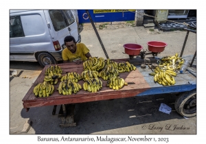 Bananas