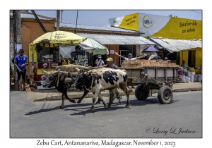 Zebu Cart