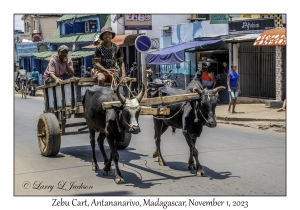 Zebu Cart