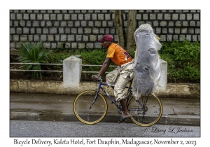 Bicycle Delivery