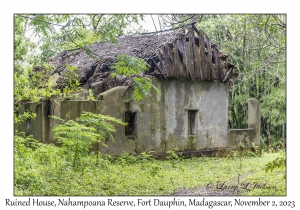 Ruined House