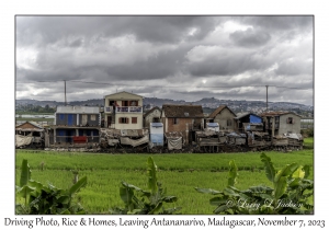 Rice & Homes