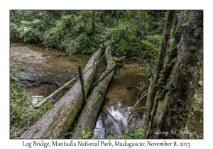 Log Bridge