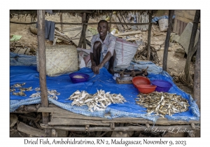 Dried Fish