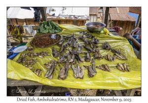 Dried Fish
