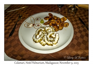 Calamari