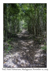Trail