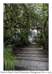 Stairs to Beach