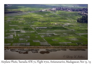 Rice Fields