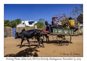 Zebu Cart