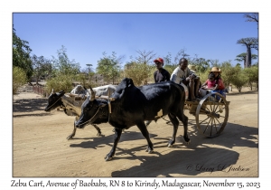 Zebu Cart