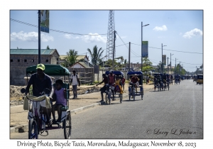 Bicycle Taxis