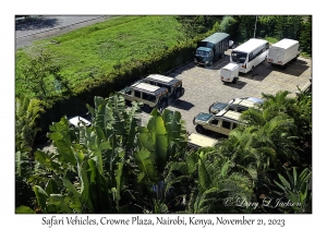 Safari Vehicles