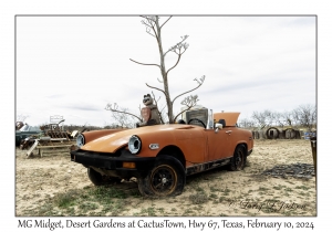 MG Midget