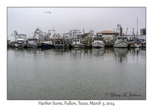 Harbor Scene