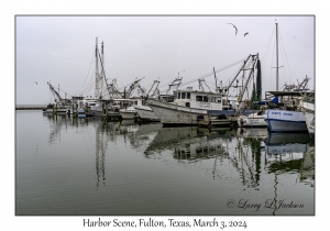 Harbor Scene