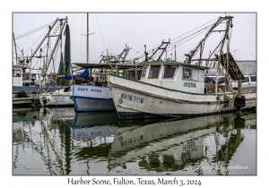 Harbor Scene