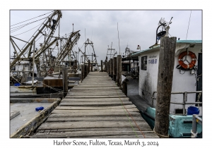 Harbor Scene