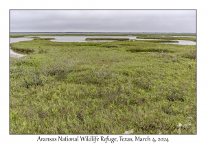 Aransas National Wildlife Refuge