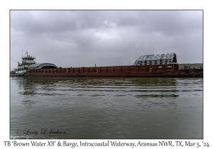 TB 'Brown Water XII' & Barge