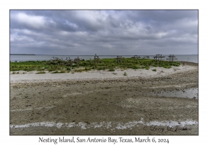 Nesting Island