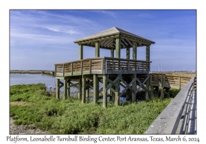 2024-03-06#2005 Platform, Leonabelle Turnbull Birding Center, Port Aransas, Texas