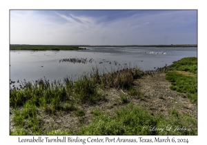 2024-03-06#2006 Leonabelle Turnbull Birding Center, Port Aransas, Texas