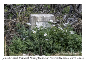 James L Carroll Memorial