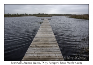 2024-03-07#2042 Boardwalk, Aransas Woods, TX-35, Rockport, Texas