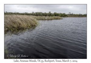 2024-03-07#2043 Lake, Aransas Woods, TX-35, Rockport, Texas