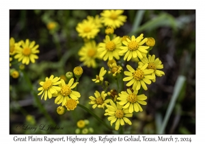 2024-03-07#2070 Unknown, Hwy 183, Refugio to Goliad, Texas